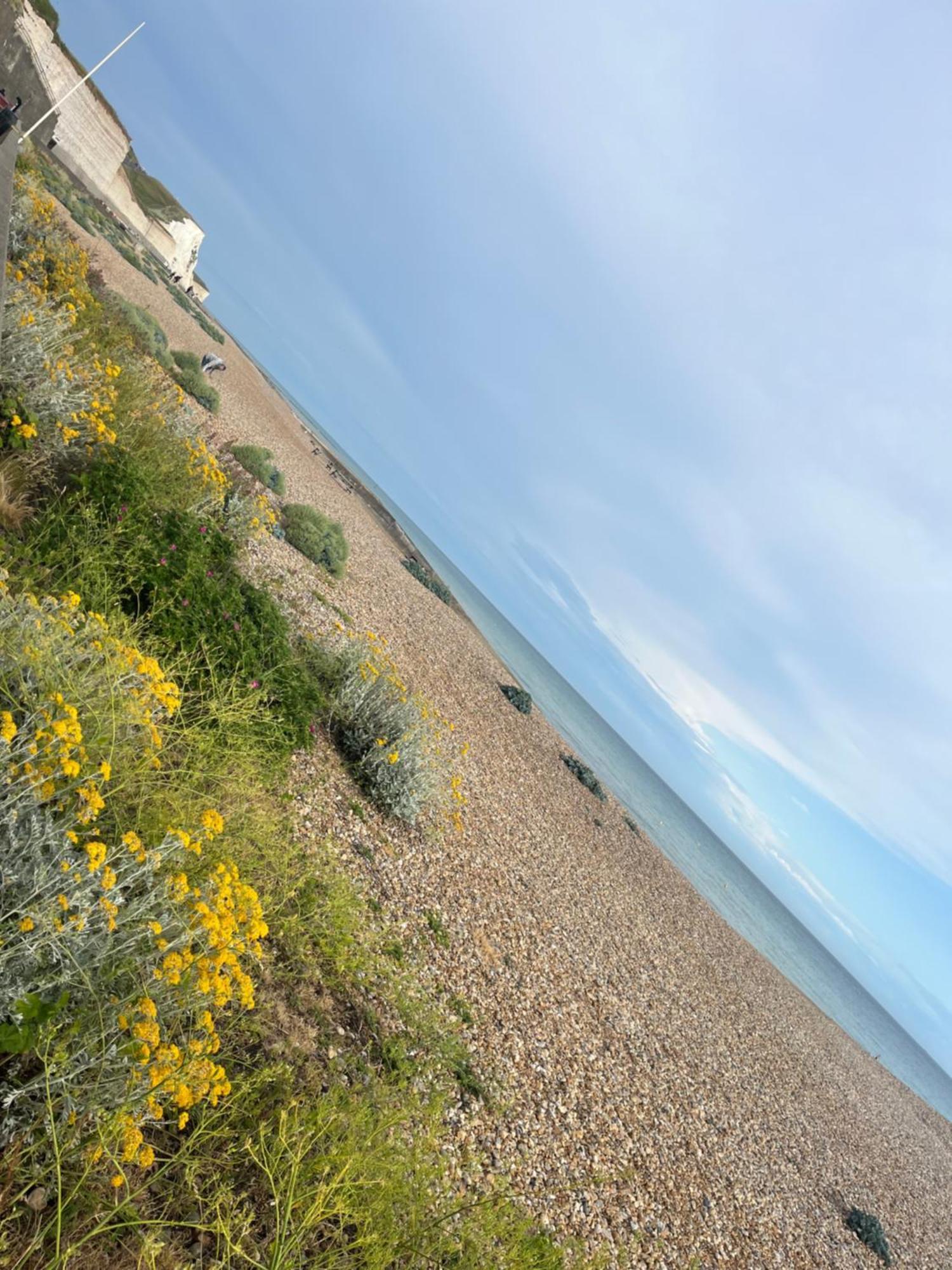 Saltdean Stay Μπράιτον Εξωτερικό φωτογραφία